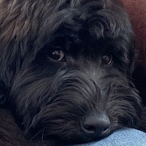 Meet your Posher, Helen